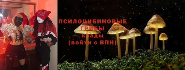 соль ск Алзамай
