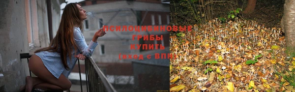 соль ск Алзамай