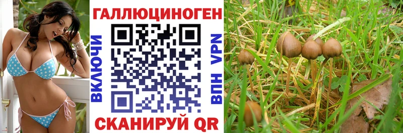 Псилоцибиновые грибы GOLDEN TEACHER  Родники 